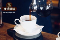 虹吸壺什麼牌子好用？入門新手如何選購虹吸壺心得