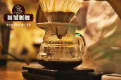 SCA的學分認證系統怎麼樣？SCA BARISTA課程心得