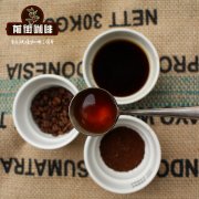 SCAA Cupping Judge是什麼 scae和scaa認證哪個好 scaa咖啡師認證