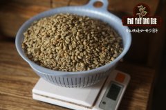 肯尼亞 凱聖加里裏處理廠AA 水洗豆有什麼風味和口感特色？