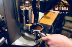 意式咖啡風味的基本萃取概念 咖啡機萃取espresso也有金盃理論？