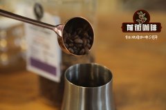 巴西咖啡多少錢一杯？巴西咖啡君王之稱但是價格不貴的原因