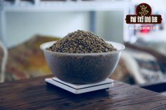 90+系列咖啡的詳細介紹  Ninety Plus Coffee 90+咖啡豆價格多少