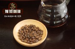 花蝴蝶咖啡豆簡介文章_什麼是花蝴蝶咖啡_花蝴蝶咖啡豆價格表