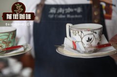 哥倫比亞咖啡豆|棕櫚樹&大嘴鳥莊園 雙重發酵處理|單品咖啡豆推薦