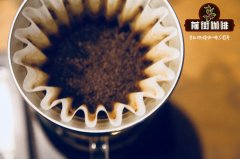 埃塞俄比亞咖啡豆種植情況介紹_埃塞俄比亞咖啡豆哪買怎麼買