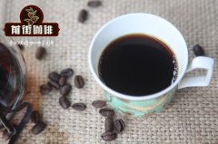 危地馬拉茉莉花咖啡怎麼喝_危地馬拉El Bejucel莊園信息介紹