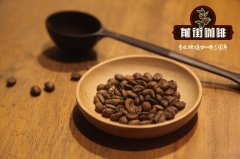 手衝哥斯達黎加聖塔克魯茲水粉比推薦_聖塔克魯茲莊園咖啡怎麼喝