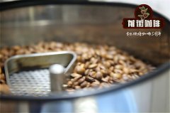 薩爾瓦多綠色山丘莊園咖啡豆適合什麼衝煮器具_綠色山丘莊園故事