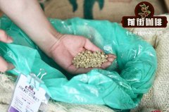 坦桑尼亞Kigoma基戈馬區|Kanuovu卡若夫合作社水洗肯特、波旁的風