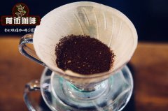 危地馬拉聖安娜莊園帕卡瑪拉咖啡手衝參數分享_如何手衝帕卡馬拉