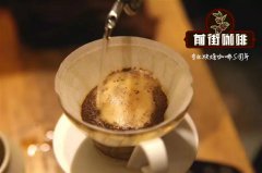 巴西米納斯伊帕內瑪波旁咖啡豆杯測衝煮參數及口感風味