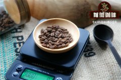 愛樂壓咖啡豆研磨度磨多粗 什麼咖啡豆適合愛樂壓做單品