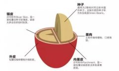 咖啡豆處理法 日曬處理法和水洗處理法有什麼區別特點