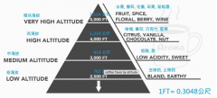 咖啡種植海拔高度與咖啡風味關係 爲什麼好咖啡豆都在高海拔地區