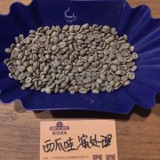 美洲咖啡產區-牙買加咖啡故事 牙買加藍山莊園咖啡發展過程介紹