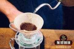 哥斯達黎加原生種Caturra種T8667咖啡豆特點 SL34高產品種介紹