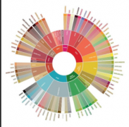 scaa風味輪有什麼作用 咖啡風味輪是什麼意思 風味輪怎麼用