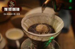 南美咖啡 巴西咖啡咖啡酸度等級 巴西桑托斯咖啡品種咖啡價格