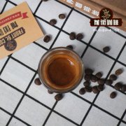 咖啡種植區及特色 不同產區咖啡烘焙度選擇 咖啡粉什麼品牌好喝