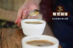 手衝咖啡什麼比例比較好 手衝咖啡水粉比怎麼算15g衝多少水