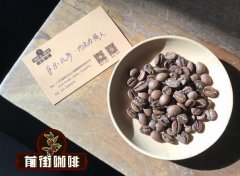 黃金曼巴拼配咖啡4:6 黑曼巴咖啡豆什麼味道 曼巴咖啡食用方法