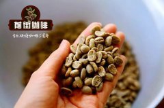 多明尼加墨翠咖啡種植氣候咖啡風味 月牙莊園精品典藏咖啡海拔