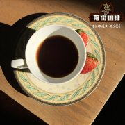埃塞俄比亞阿拉比卡咖啡豆種植產區 非洲咖啡哈拉爾/西達摩風味