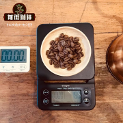 巴西聖路易斯莊園日曬黃波旁 感受牛奶巧克力口味的精品咖啡