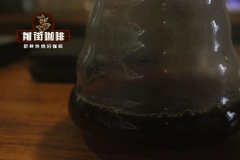 圖｜咖啡聰明杯怎麼用浸泡時間流程 咖啡聰明杯與濾杯區別