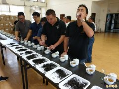 日月潭紅茶鬥茶「殘酷舞臺」 茶葉集評好壞全都露