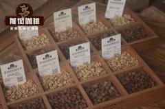 藍山咖啡和貓屎咖啡哪個更好 世界十大咖啡排名貓屎咖啡是什麼檔次