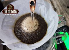 什麼是完美的咖啡沖泡溫度和完美的飲用溫度？錐形與平面過濾器