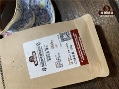 阿拉比卡品種的哥倫比亞咖啡豆的特點與櫻桃採摘時間