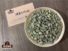 翡翠莊園藝伎咖啡豆爲什麼這麼貴?巴拿馬藝伎咖啡是什麼品種